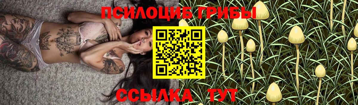 Галлюциногенные грибы MAGIC MUSHROOMS  Вход с VPN  Лобня 
