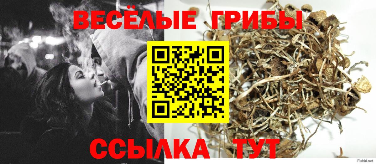 Псилоцибиновые грибы мицелий Лобня